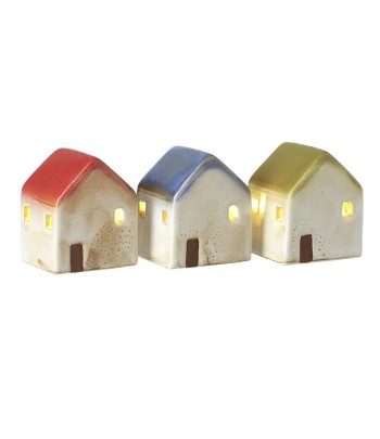 Blue Red Green Roof House...