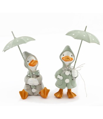 Potting Shed Duck With...