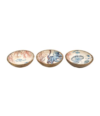 Ocean Enamel Mango Wood...