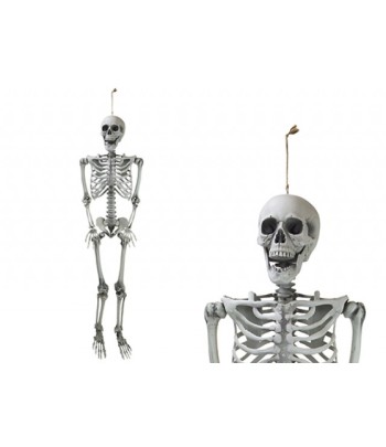 Hanging Skeleton 160cm