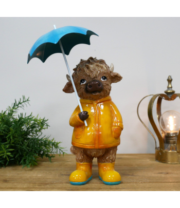 Highland Cow In The Rain