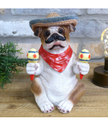 Mexican Bulldog