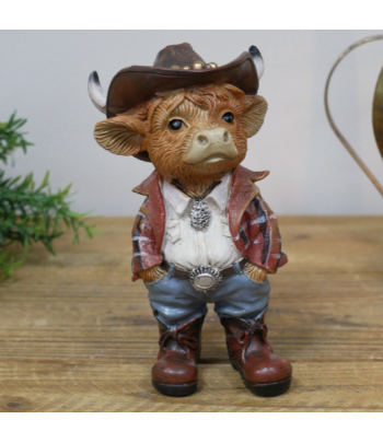 Highland Cowboy