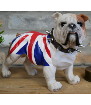 British Bulldog Standing