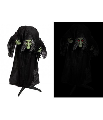 Animated Hunchback Witch...