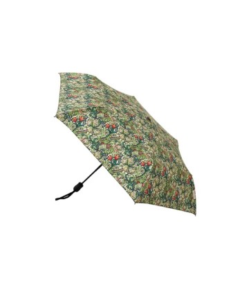 Automatic Folding Umbrella...