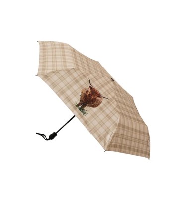 Automatic Folding Umbrella...