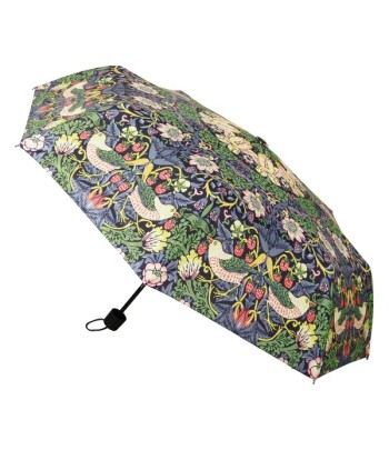 Automatic Folding Umbrella...