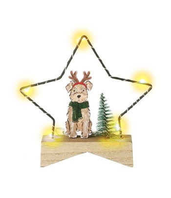 Light Up Star With Dog...