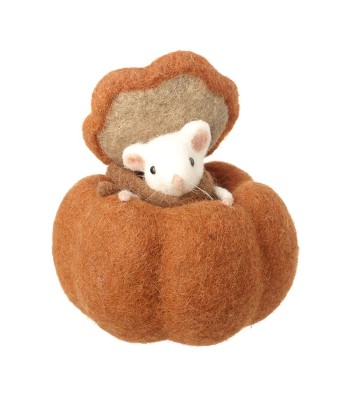 Felt Mouse In Pumpkin