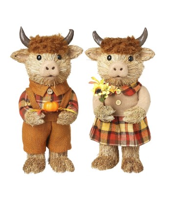 Highland Cow With Pumpkin...