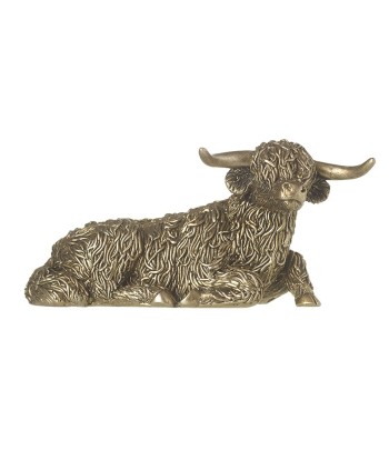 Gold Coloured Highland Cow