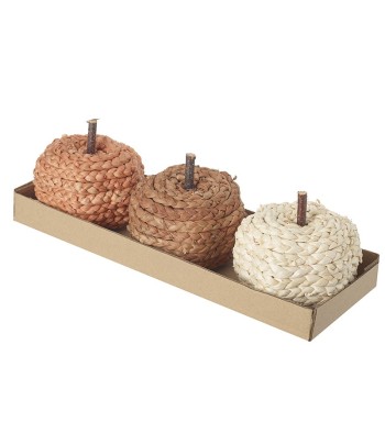 Small Rattan Pumpkins (Set...