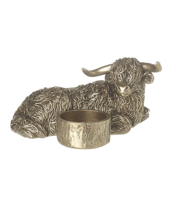 Resting Gold Highland Cow...