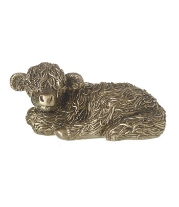 Resting Gold Highland Calf