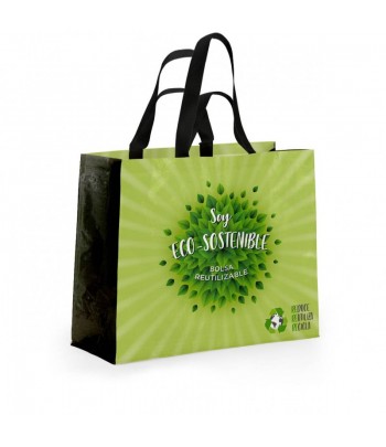 Reusable Large Green Bag