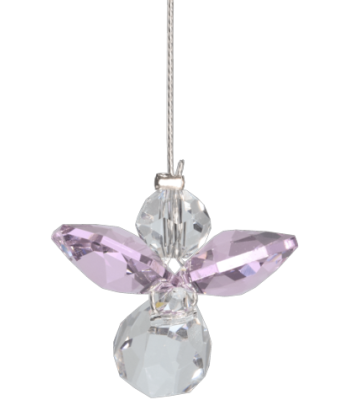 Wild Things - Hanging...