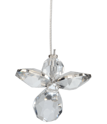 Wild Things - Hanging...