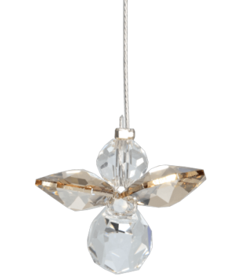 Wild Things - Hanging...