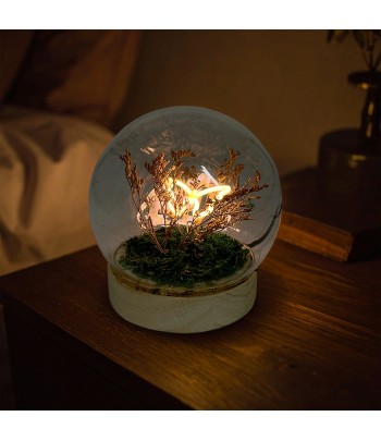 Gleneagles - Butterfly LED...