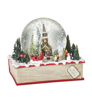 Large Snowglobe With Book