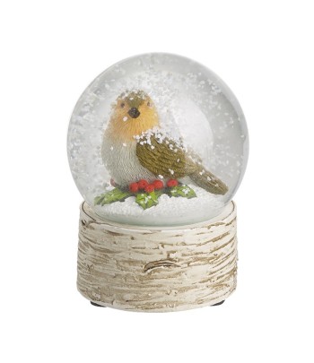 Robin Snowglobe