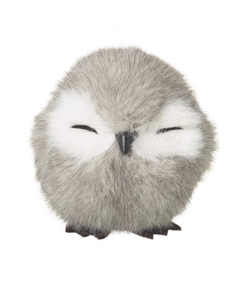 Grey Sleepy Owl