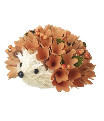 Orange Petal Coat Hedgehog