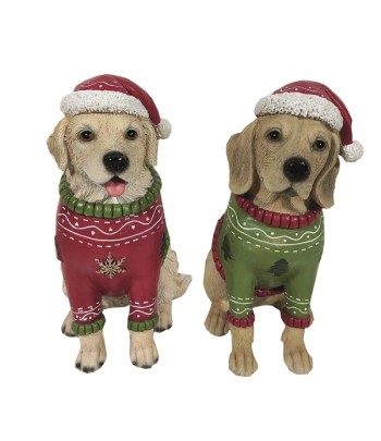 Christmas Dressed Dog...