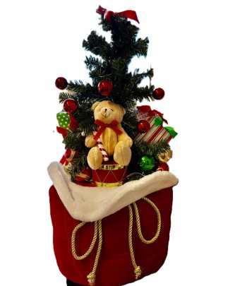 LED Battery Operated Xmas...