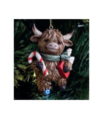 Highland Cow With Candy...