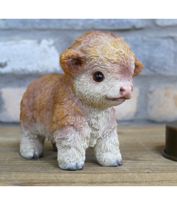 Tiny Baby Highland Cow