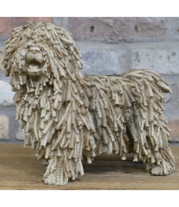 Shaggy Dog