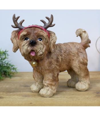Dog With Antler Ears