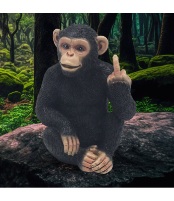 Cheeky Monkey - Medium