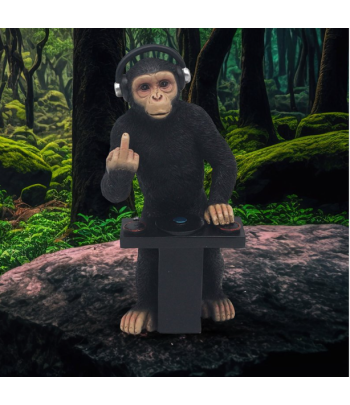 Cheeky Monkey DJ