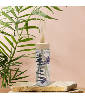 Desire Aroma Eucalyptus &...