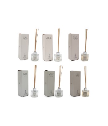 100ml Diffuser (6 Assorted...
