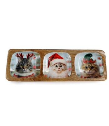 Cat In The Christmas Hat...