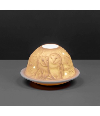 Lithophane Domes - Barn Owls