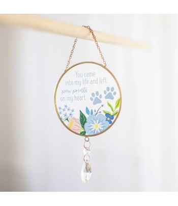 Splosh - Suncatcher - Paw...