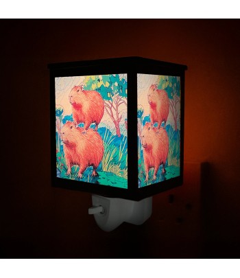 Cello - Capybara - Plug In...