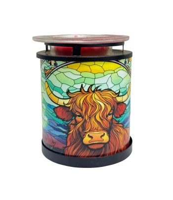 Cello - Highland Cow...