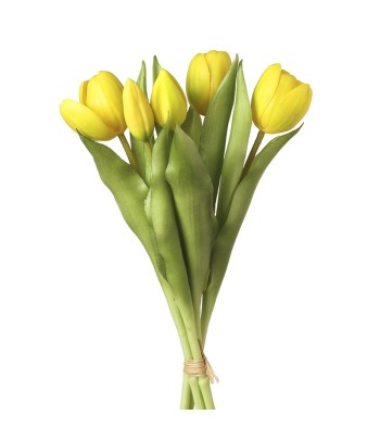 Yellow Tulips Bunch