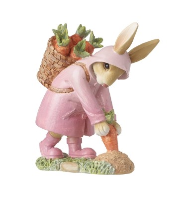 Rabbit In Raincoat Pulling...