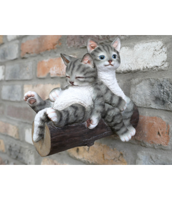 Cats On A Branch