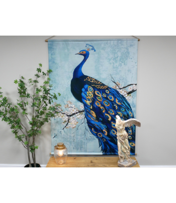 Canvas Wall Art - Peacock