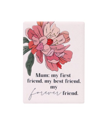 Splosh - Mother's Day...