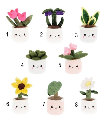 Pland & Flower Bobballs...