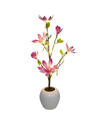 LED (30L) Pink Magnolia...